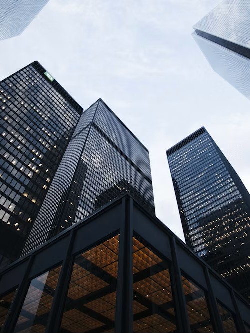 Maximize Your Investment Portfolio